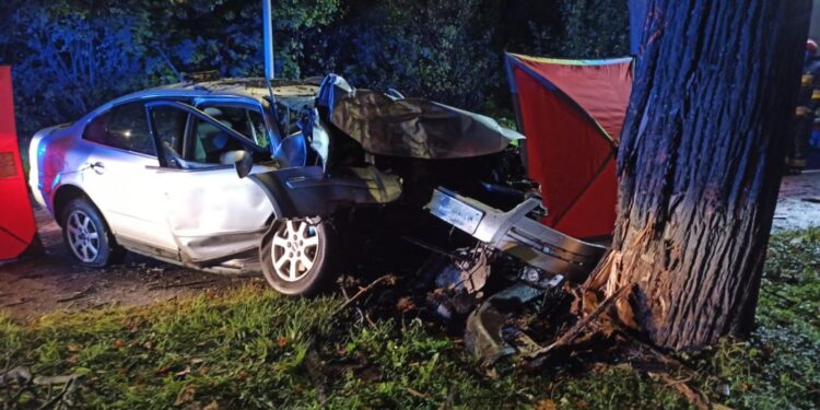 wypadek / Komenda Miejska PSP w Elblągu