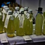 09.10.2021. Kielce. Targi DOM i Ty / Jarosław Kubalski / Radio Kielce