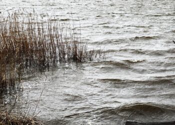 RADIO KRAKÓW. Zagrożenie powodziowe na południu Polski, synoptycy zapowiadają dalsze opady