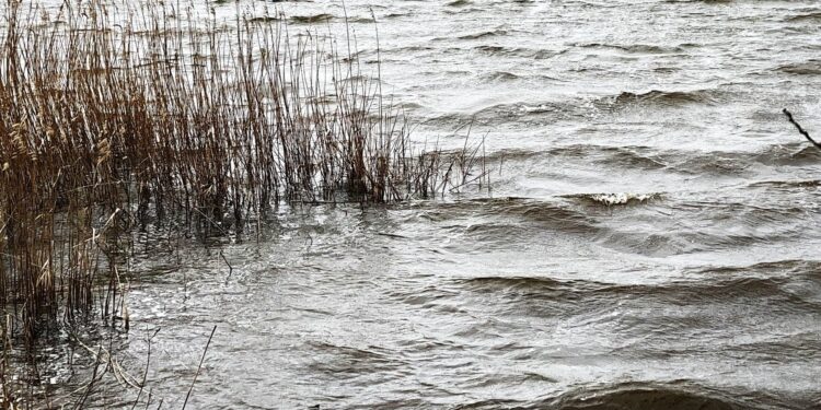 RADIO KRAKÓW. Zagrożenie powodziowe na południu Polski, synoptycy zapowiadają dalsze opady
