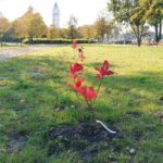 05.10.2021. Busko-Zdrój. 9. Marsz Różowej Wstążeczki / Marta Gajda-Kruk / Radio Kielce