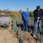 09.10.2021. Sielec Biskupi. Ogród Haliny i Zbigniewa Marców / Marta Gajda-Kruk / Radio Kielce