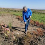09.10.2021. Sielec Biskupi. Ogród Haliny i Zbigniewa Marców / Marta Gajda-Kruk / Radio Kielce