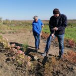 09.10.2021. Sielec Biskupi. Ogród Haliny i Zbigniewa Marców / Marta Gajda-Kruk / Radio Kielce