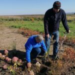 09.10.2021. Sielec Biskupi. Ogród Haliny i Zbigniewa Marców / Marta Gajda-Kruk / Radio Kielce