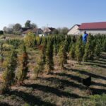 09.10.2021. Sielec Biskupi. Ogród Haliny i Zbigniewa Marców / Marta Gajda-Kruk / Radio Kielce