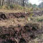 Fot. Marta Gajda-Kruk - Radio Kielce