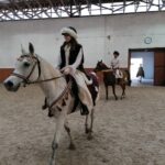 31.10.2021. Michałów. XII Sportowe Mistrzostw Polski Koni Arabskich Czystej Krwi.