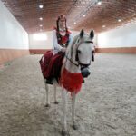 31.10.2021. Michałów. XII Sportowe Mistrzostw Polski Koni Arabskich Czystej Krwi.