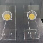 02.10.2021. Sandomierz. Wystawa „100 lat Muzeum Okręgowego w Sandomierzu 1921-2021” / Grażyna Szlęzak-Wójcik / Radio Kielce