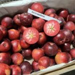 17.10.2021. Warszawa. Targ Sandomierski / Grażyna Szlęzak-Wójcik / Radio Kielce