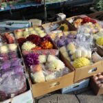 21.10.2021. Kielce. Przygotowania na Wszystkich Świętych. Kwiaty / Wiktor Taszłow / Radio Kielce