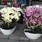 21.10.2021. Kielce. Przygotowania na Wszystkich Świętych. Kwiaty / Wiktor Taszłow / Radio Kielce