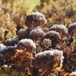 30.10.2021. Kielce. Ogród Botaniczny / Wiktor Taszłow / Radio Kielce