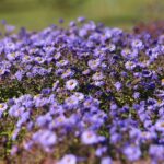 30.10.2021. Kielce. Ogród Botaniczny / Wiktor Taszłow / Radio Kielce