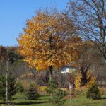 30.10.2021. Kielce. Ogród Botaniczny / Wiktor Taszłow / Radio Kielce