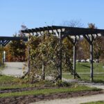 30.10.2021. Kielce. Ogród Botaniczny / Wiktor Taszłow / Radio Kielce