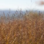 30.10.2021. Kielce. Ogród Botaniczny / Wiktor Taszłow / Radio Kielce