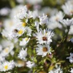 30.10.2021. Kielce. Ogród Botaniczny / Wiktor Taszłow / Radio Kielce