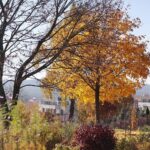 30.10.2021. Kielce. Ogród Botaniczny / Wiktor Taszłow / Radio Kielce