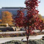 30.10.2021. Kielce. Ogród Botaniczny / Wiktor Taszłow / Radio Kielce