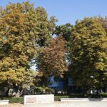 02.10.2021. Kielce. Jesienne liście / Wiktor Taszłow / Radio Kielce