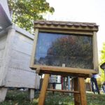 03.10.2021. Tokarnia. Piknik pszczelarski / Wiktor Taszłow / Radio Kielce