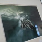 15.10.2021. Kielce. Wystawa zdjęć Zdzisława Beksińskiego w Galerii Winda / Wiktor Taszłow / Radio Kielce