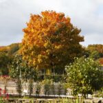 16.10.2021. Kielce. Ogród Botaniczny / Wiktor Taszłow / Radio Kielce