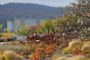 17.10.2021. Ogród Botaniczny. Piknik „Jesienią w Ogrodzie… Kwiaty, ognisko i dobra zabawa” / Wiktor Taszłow / Radio Kielce