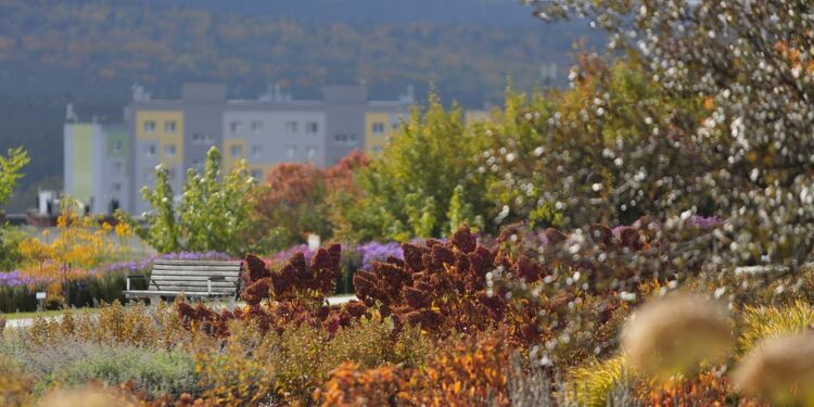 17.10.2021. Ogród Botaniczny. Piknik „Jesienią w Ogrodzie… Kwiaty, ognisko i dobra zabawa” / Wiktor Taszłow / Radio Kielce