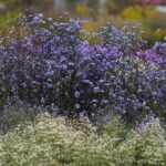 17.10.2021. Ogród Botaniczny. Piknik „Jesienią w Ogrodzie… Kwiaty, ognisko i dobra zabawa” / Wiktor Taszłow / Radio Kielce