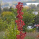 16.10.2021. Kielce. Ogród Botaniczny / Wiktor Taszłow / Radio Kielce