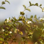 17.10.2021. Ogród Botaniczny. Piknik „Jesienią w Ogrodzie… Kwiaty, ognisko i dobra zabawa” / Wiktor Taszłow / Radio Kielce