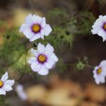 16.10.2021. Kielce. Ogród Botaniczny / Wiktor Taszłow / Radio Kielce