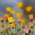 16.10.2021. Kielce. Ogród Botaniczny / Wiktor Taszłow / Radio Kielce