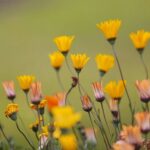 Fot. Wiktor Taszłow - Radio Kielce