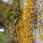 16.10.2021. Kielce. Ogród Botaniczny / Wiktor Taszłow / Radio Kielce