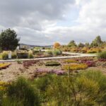 17.10.2021. Ogród Botaniczny. Piknik „Jesienią w Ogrodzie… Kwiaty, ognisko i dobra zabawa” / Wiktor Taszłow / Radio Kielce