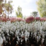 Od środy zmiana pogody, ale czy u nas? [PROGNOZA POGODY]