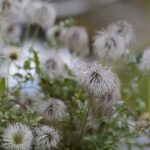 16.10.2021. Kielce. Ogród Botaniczny / Wiktor Taszłow / Radio Kielce