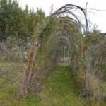 16.10.2021. Kielce. Ogród Botaniczny / Wiktor Taszłow / Radio Kielce