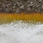 16.10.2021. Kielce. Ogród Botaniczny / Wiktor Taszłow / Radio Kielce