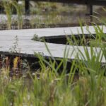 16.10.2021. Kielce. Ogród Botaniczny / Wiktor Taszłow / Radio Kielce