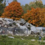 17.10.2021. Ogród Botaniczny. Piknik „Jesienią w Ogrodzie… Kwiaty, ognisko i dobra zabawa” / Wiktor Taszłow / Radio Kielce