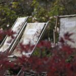 16.10.2021. Kielce. Ogród Botaniczny / Wiktor Taszłow / Radio Kielce