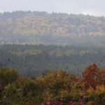 16.10.2021. Kielce. Ogród Botaniczny / Wiktor Taszłow / Radio Kielce