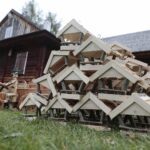 17.10.2021. Tokarnia. „Święto Gęsiny” / Wiktor Taszłow / Radio Kielce