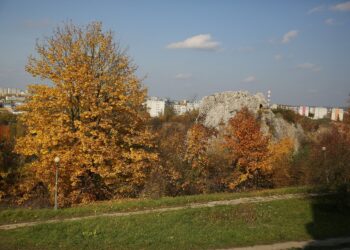 02.10.2021. Kielce. Jesienne liście / Wiktor Taszłow / Radio Kielce