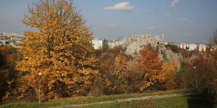 02.10.2021. Kielce. Jesienne liście / Wiktor Taszłow / Radio Kielce